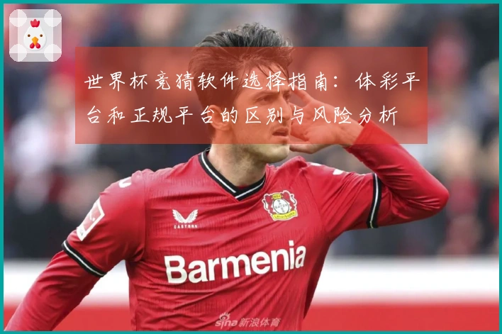 世界杯竞猜软件选择指南：体彩平台和正规平台的区别与风险分析