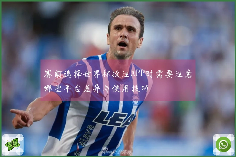 赛前选择世界杯投注APP时需要注意哪些平台差异与使用技巧