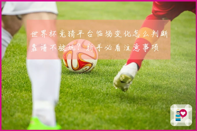 世界杯竞猜平台临场变化怎么判断靠谱不被坑？新手必看注意事项