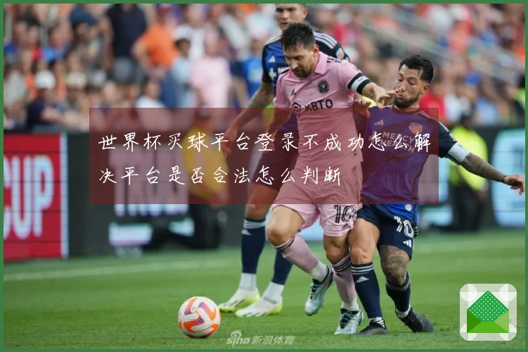 世界杯买球平台登录不成功怎么解决平台是否合法怎么判断